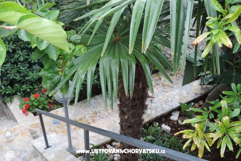 Appartamenti Natasa – foto 16