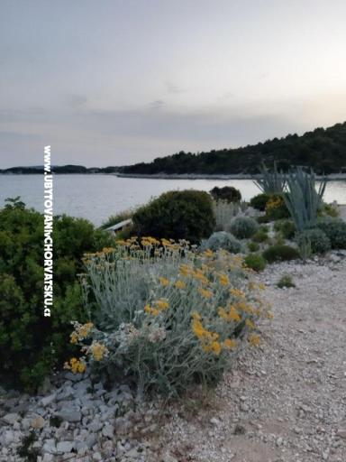 Appartamenti Neda Parežanin – foto 14