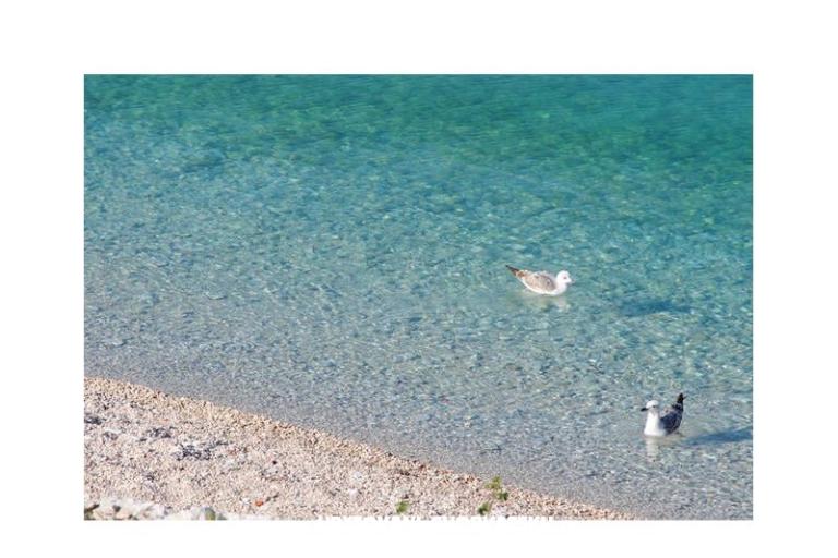 Appartamenti Neva – foto 7
