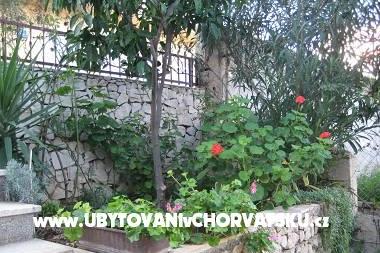 Appartamenti RIA – foto 5