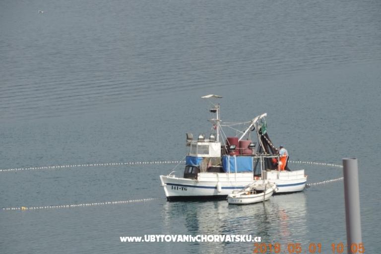 Appartamenti villa Tanja – foto 15