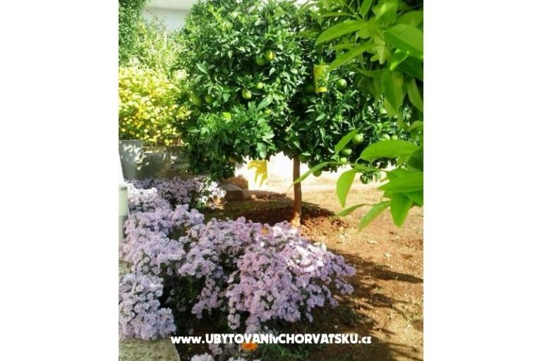 Appartamenti Zubak – foto 3