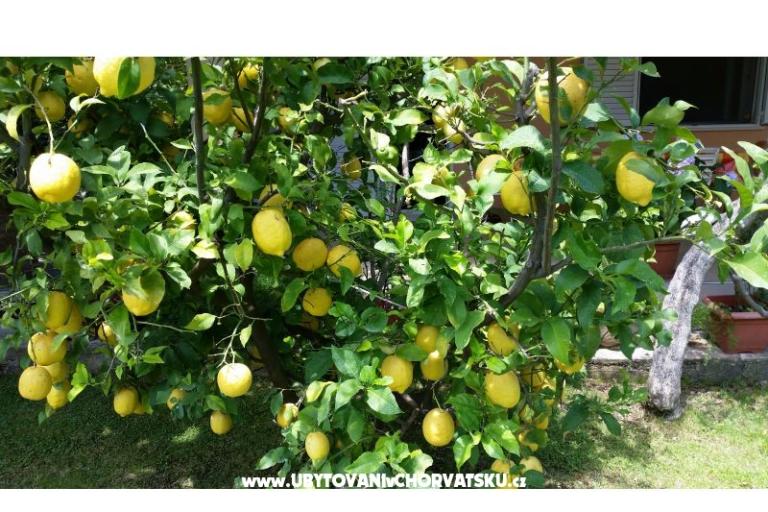 Appartamenti Bijelić – foto 9