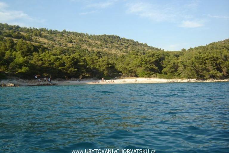 Appartamenti Vukovic – foto 7