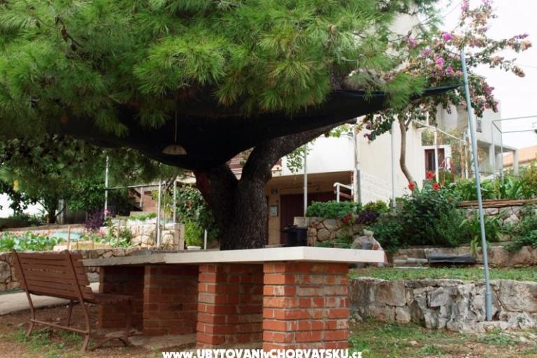 Appartamenti Ancora – foto 5
