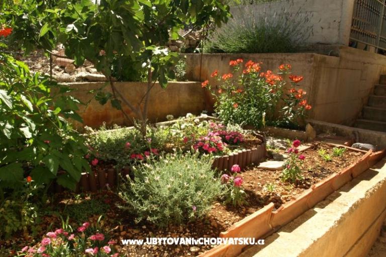 Appartamenti Ljilja – foto 10