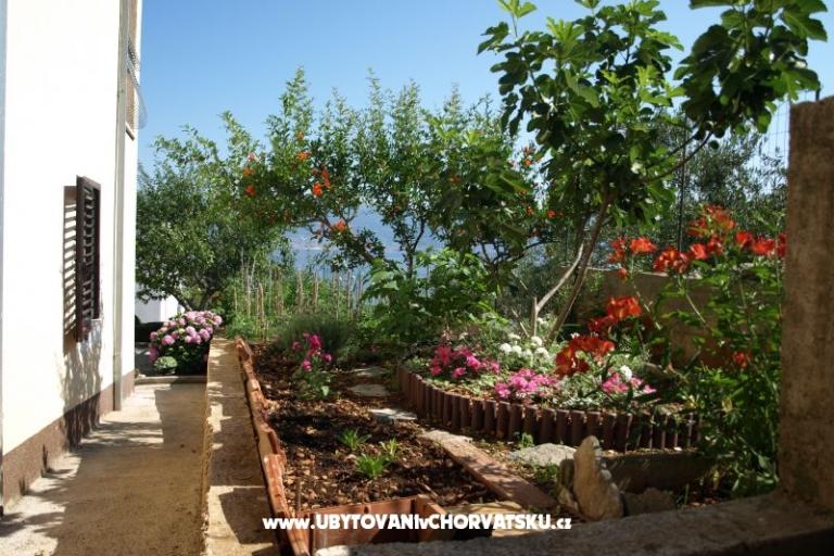 Appartamenti Ljilja – foto 13
