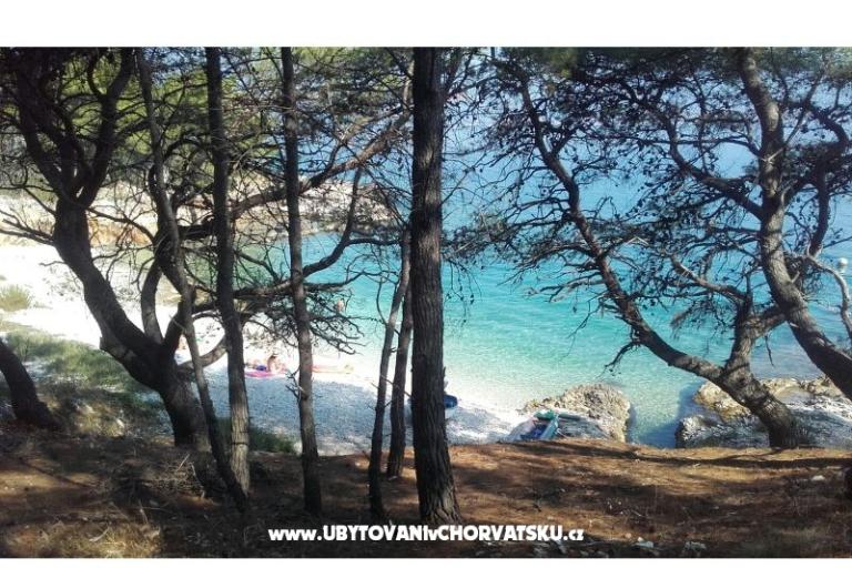 Appartamenti Ljilja – foto 8
