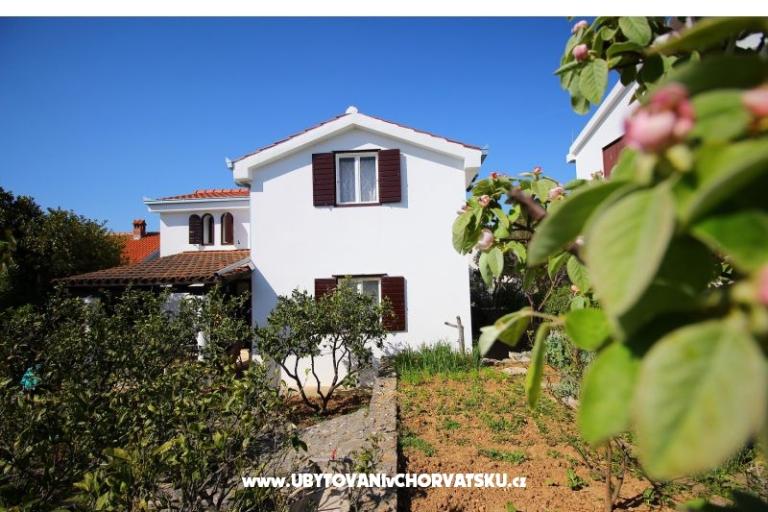 Appartamenti NIKA – foto 4