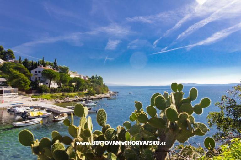 Appartamenti ŠUKI – foto 5