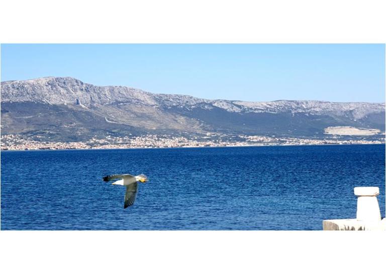 Appartamenti Tanja – foto 6