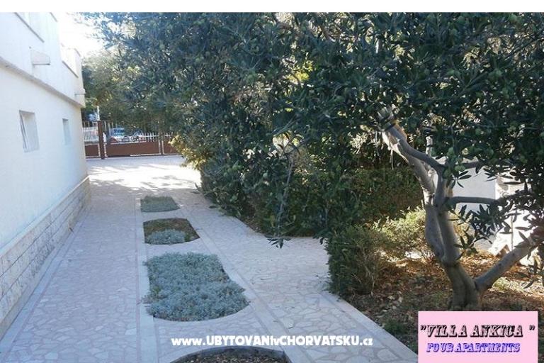 Appartamenti Villa Ankica – foto 10