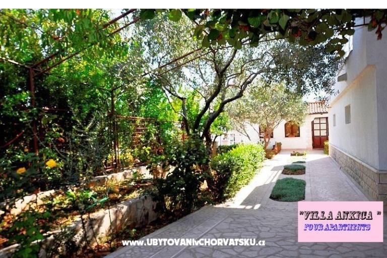 Appartamenti Villa Ankica – foto 6
