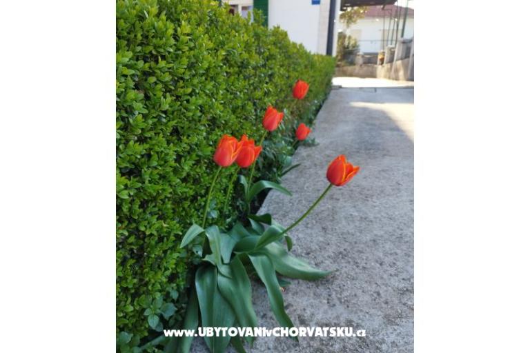 Appartamenti Zdravka – foto 13