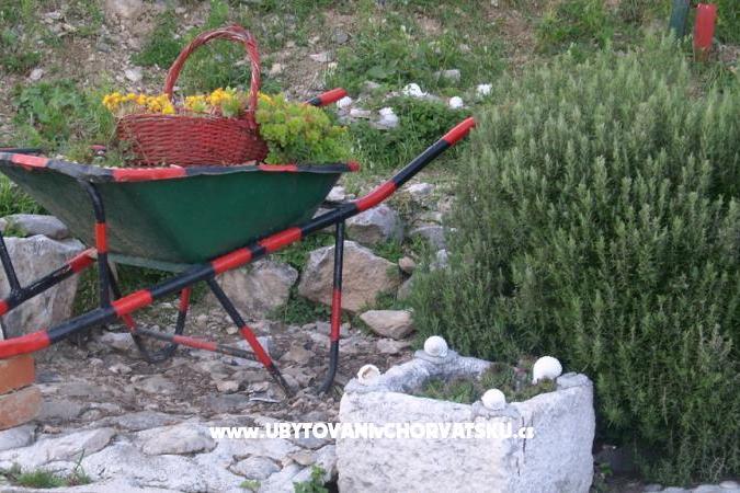 Carmen Appartamenti – foto 15