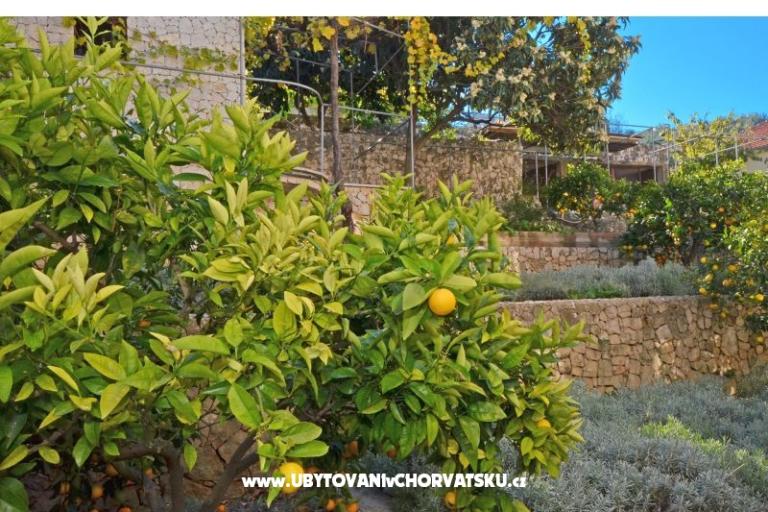 Lola Appartamenti – foto 19