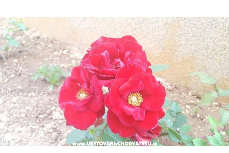 Sunshining Appartamenti – foto 12