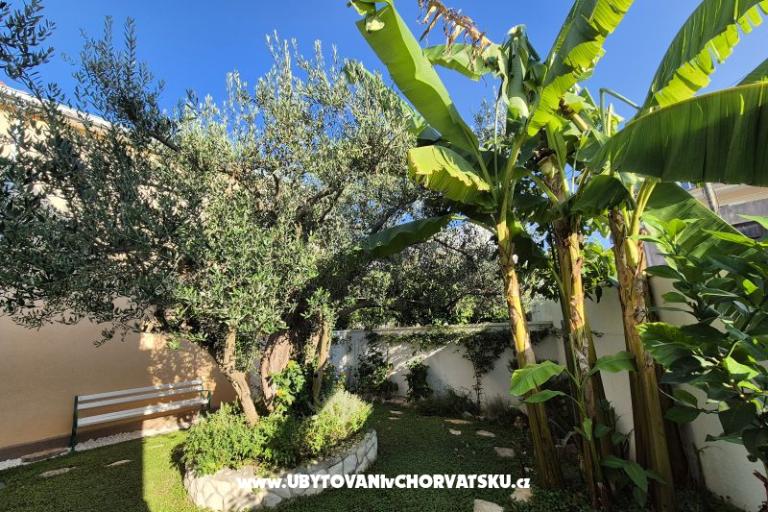 The Three Flowers Pool Casa – foto 61
