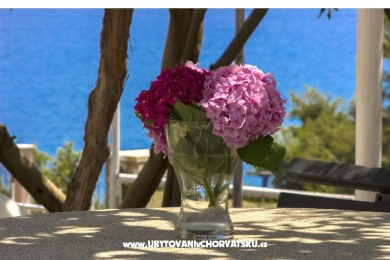 Appartamenti Katarina Čiovo – foto 9