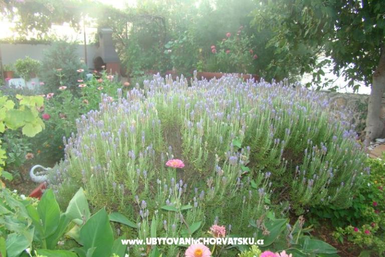 Appartamenti Villa Milena – foto 6
