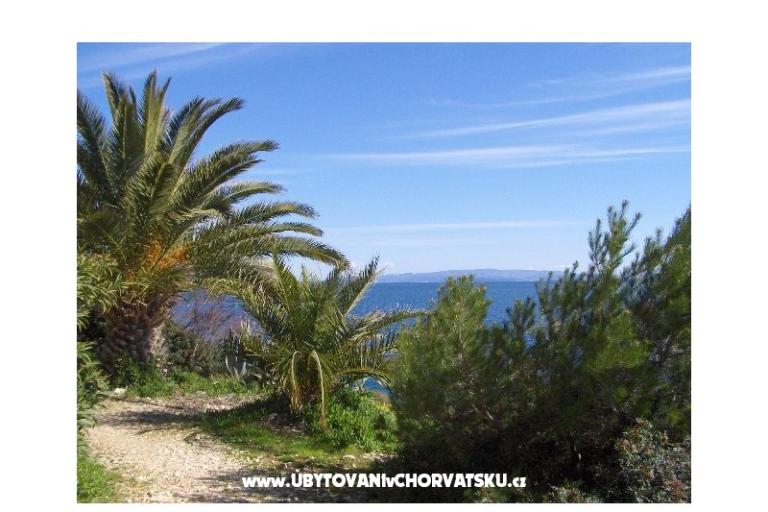 Case vacanza Oliviano – foto 13