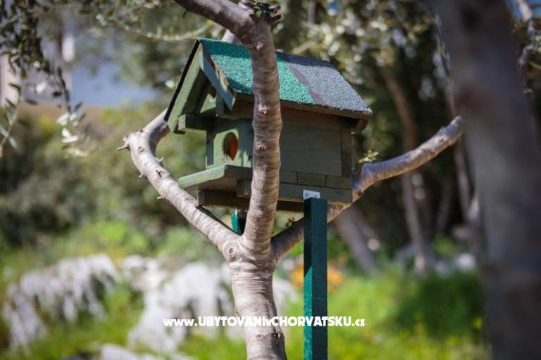 Casa Tea in a beautiful nature – foto 8
