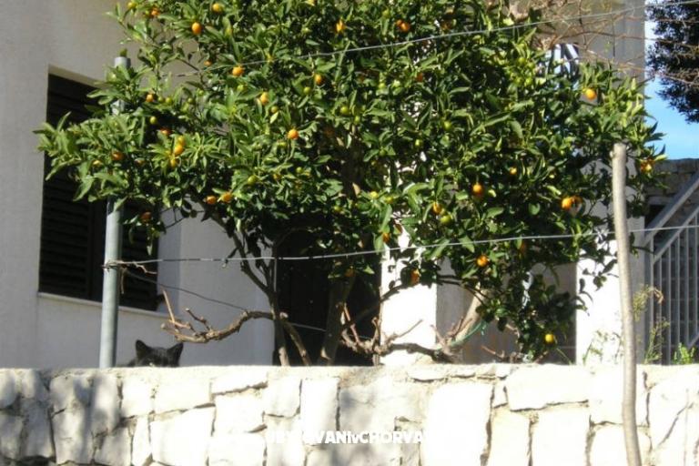 Zele Appartamenti – foto 7