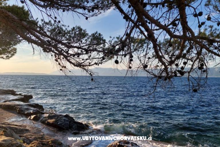 Appartamenti Bukovac – foto 15