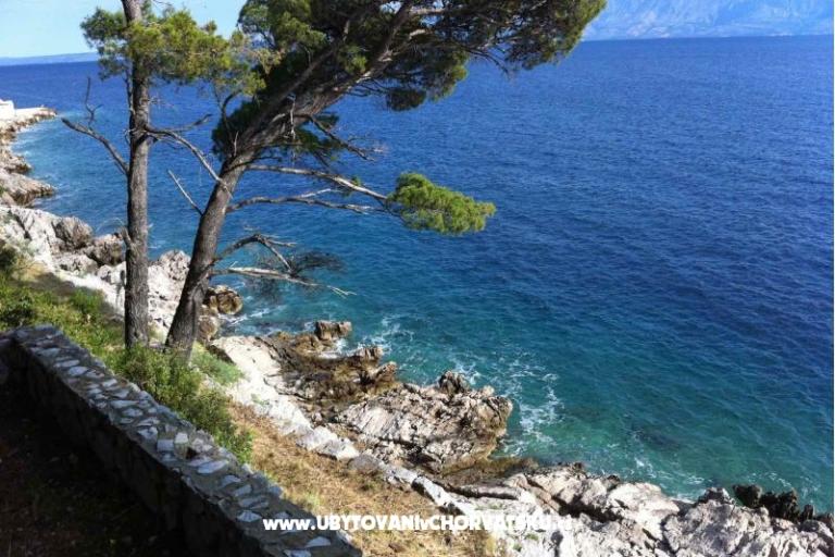 Vila Nautilus luxury Appartamenti – foto 21