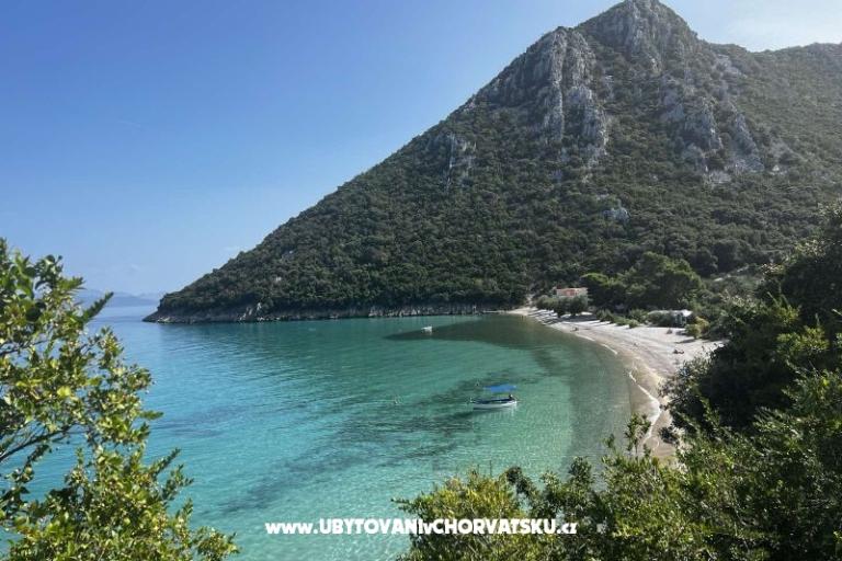 Vila Nautilus luxury Appartamenti – foto 8