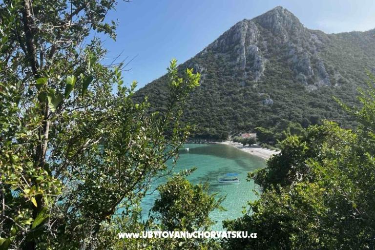 Vila Nautilus luxury Appartamenti – foto 9