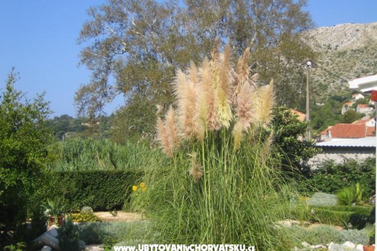 Appartamenti Sunce – foto 16