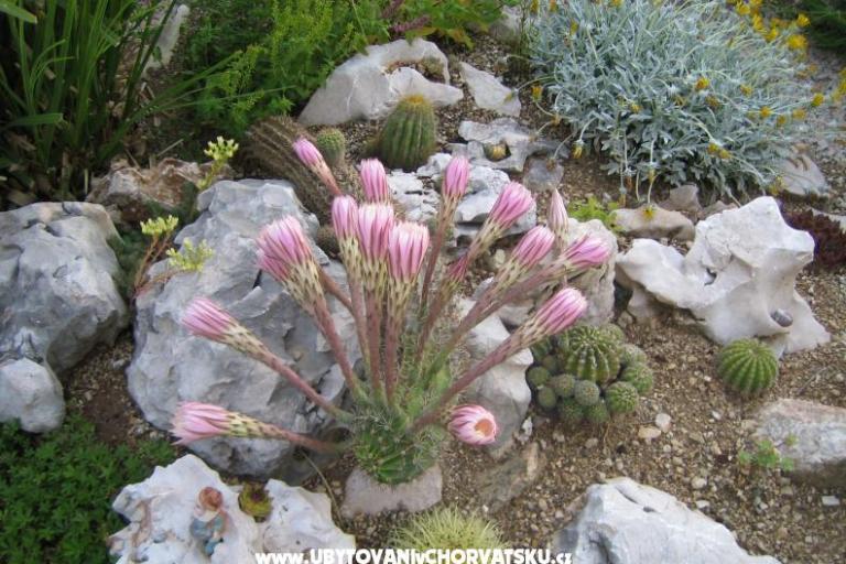 Appartamenti Sunce – foto 17