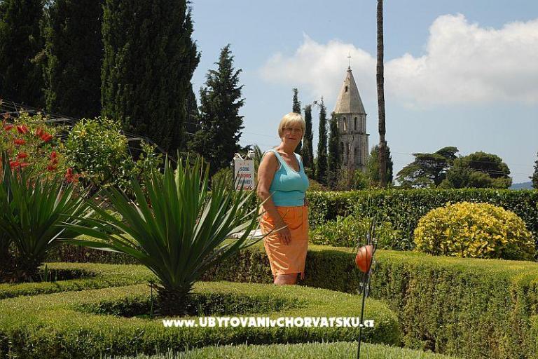 Appartamenti Sunce – foto 7