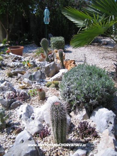 Appartamenti Sunce – foto 9
