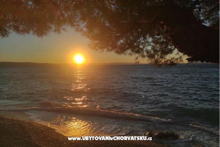 Alba Appartamenti – foto 15