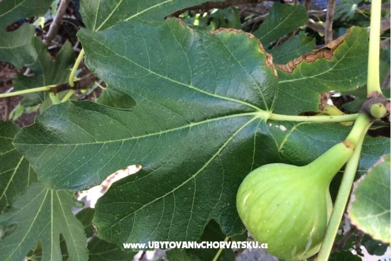 Appartamento Varija – foto 13