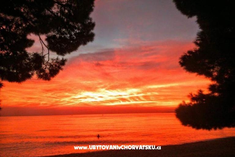 Appartamenti Stone  Tučepi  – foto 14