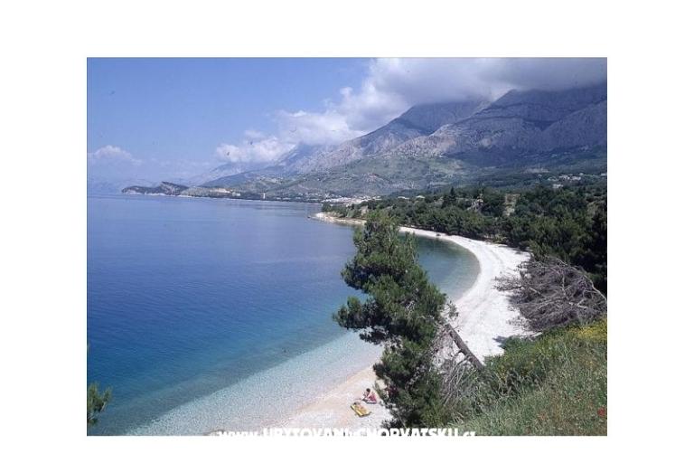 Appartamenti Marija & Frane Mravičić – foto 8