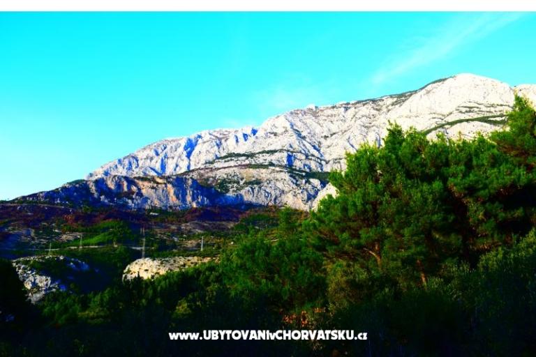 Appartamenti Marin – foto 14