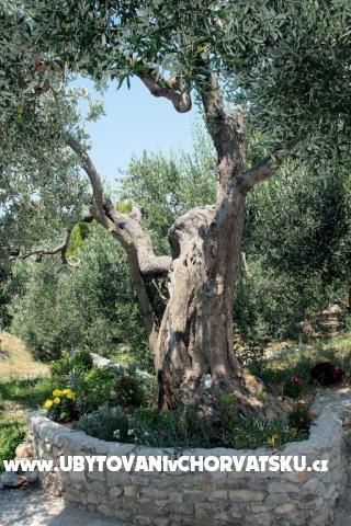 Appartamenti Marin – foto 5