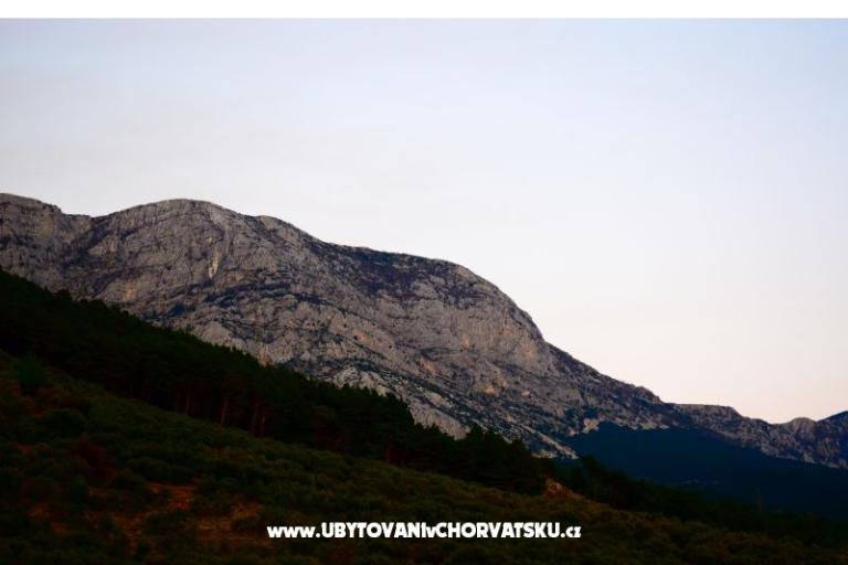 Appartamenti Marin – foto 8