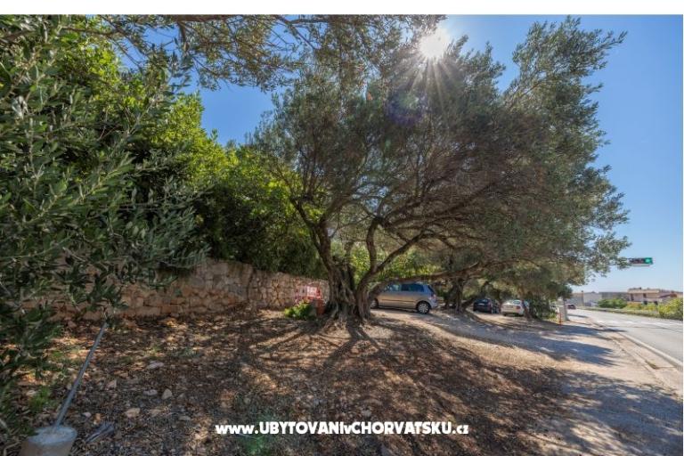 Appartamenti Marta – foto 18