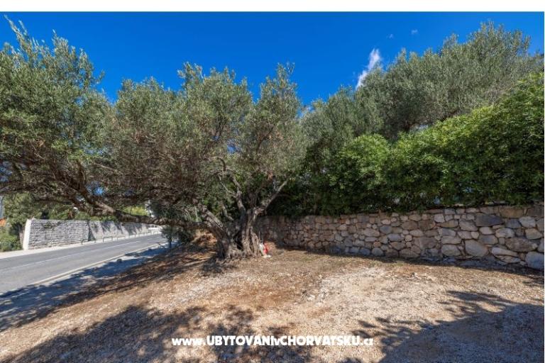 Appartamenti Marta – foto 19