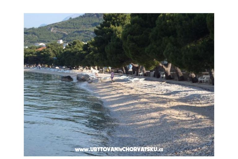 Appartamenti Marta – foto 8