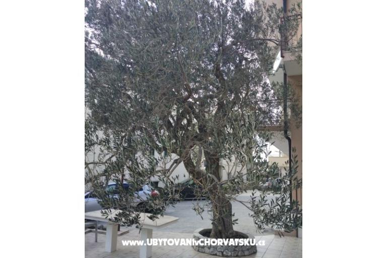 Appartamenti Mena – foto 4