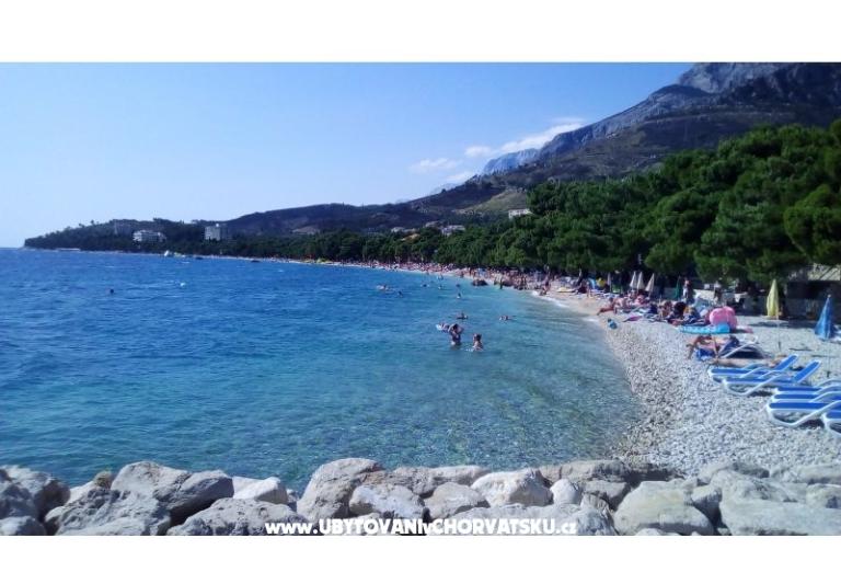 Appartamenti Mitan – foto 8