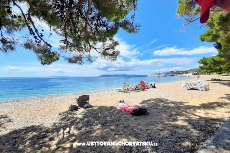 Appartamenti More & Sunce – foto 14