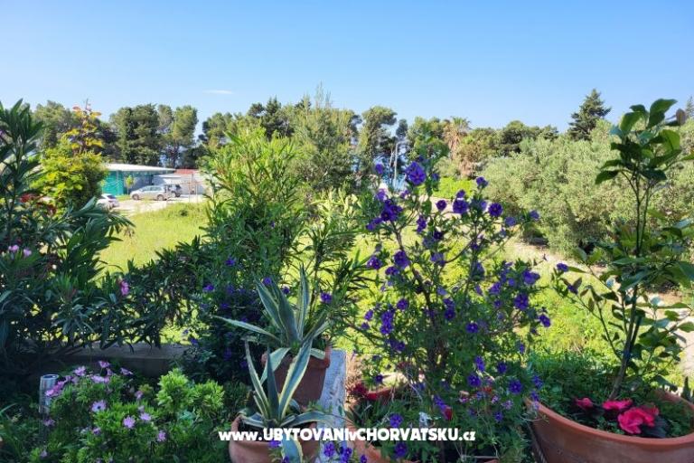 Appartamenti IKO - Tučepi – foto 20