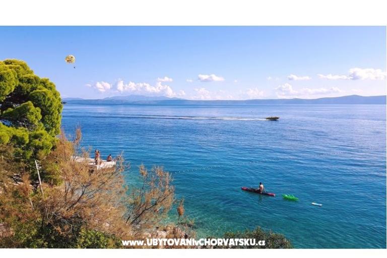 Appartamenti Malina i Krsto – foto 11